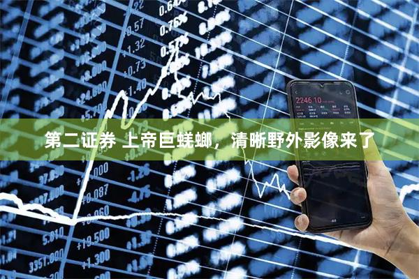 第二证券 上帝巨蜣螂，清晰野外影像来了